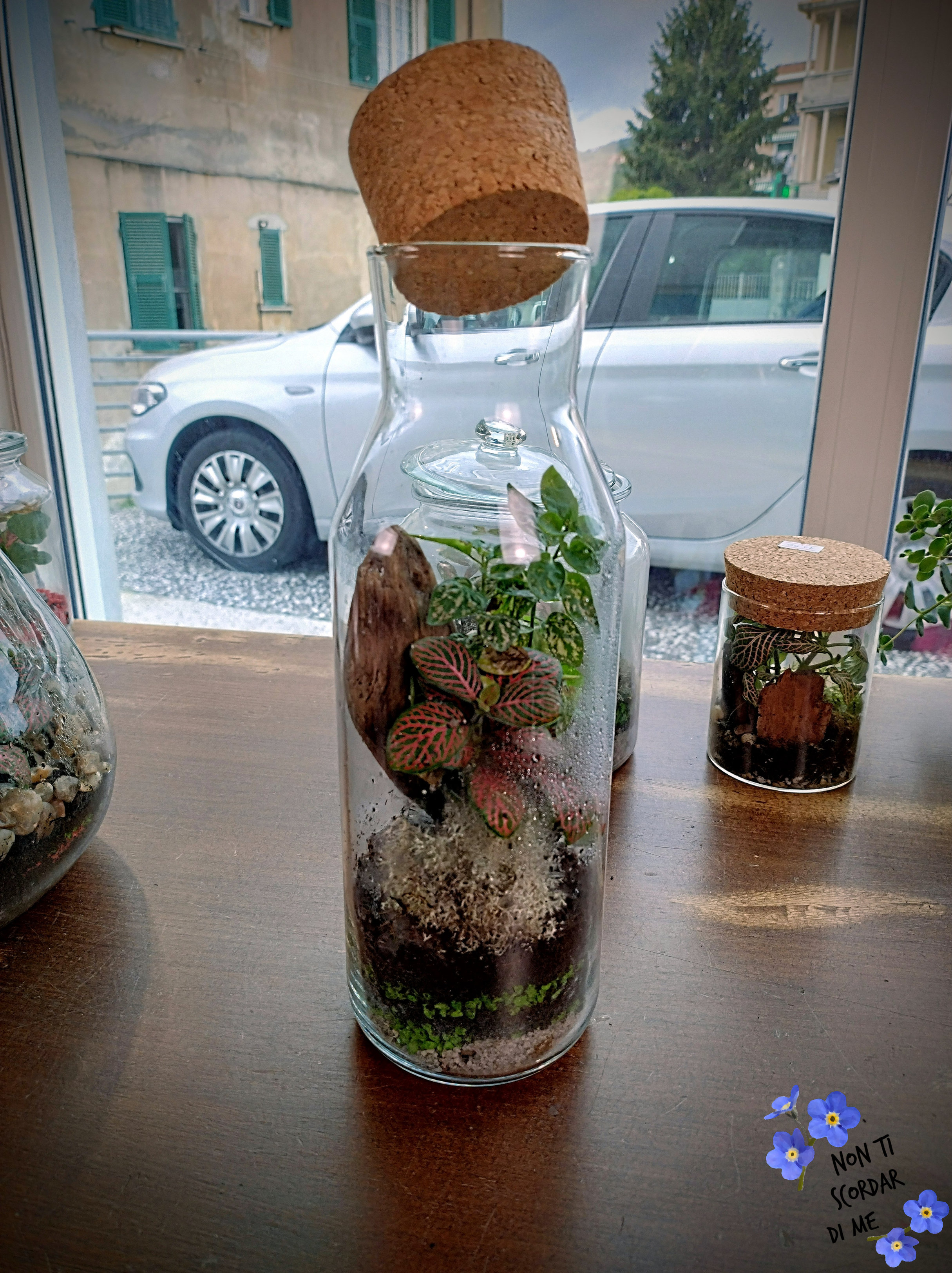 Foto Terrarium